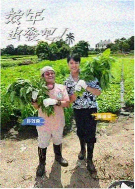 厨神小院美食综艺在线看